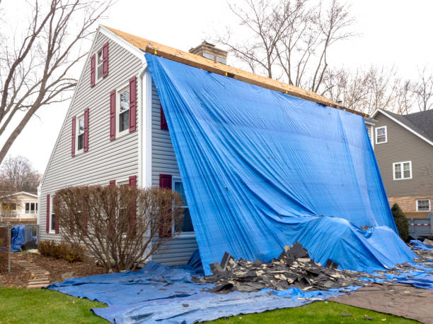 Best Demolition Debris Removal  in Southport, NC